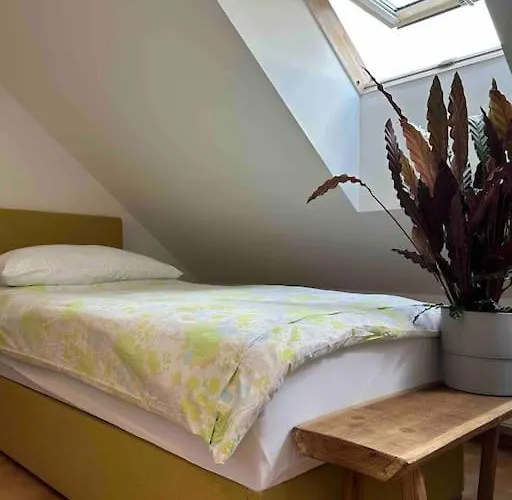 Apartament Moderne Dachgeschosswohnung In Bester Lage - Self Check In *